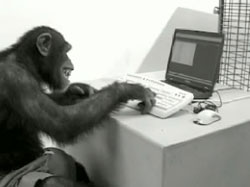 monkey-on-computer