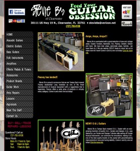 Stevie Bs Guitar Obsession